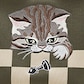 Army Green - Checker Board Cat