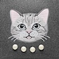 Rich Grey - Silver British Cat