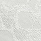 White Lace Embroidery
