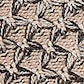 Apricot Camel & Dark Taupe