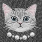 Rich Grey - Silver British Cat