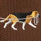 Tawny - Beagle Sled