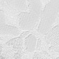 White Lace Embroidery