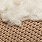 Nutmeg & Cream