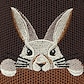 Dark Chocolate Brown - Easter Bunny