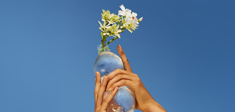 sustainability