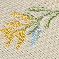 Pale Apricot French Floral Embroidery