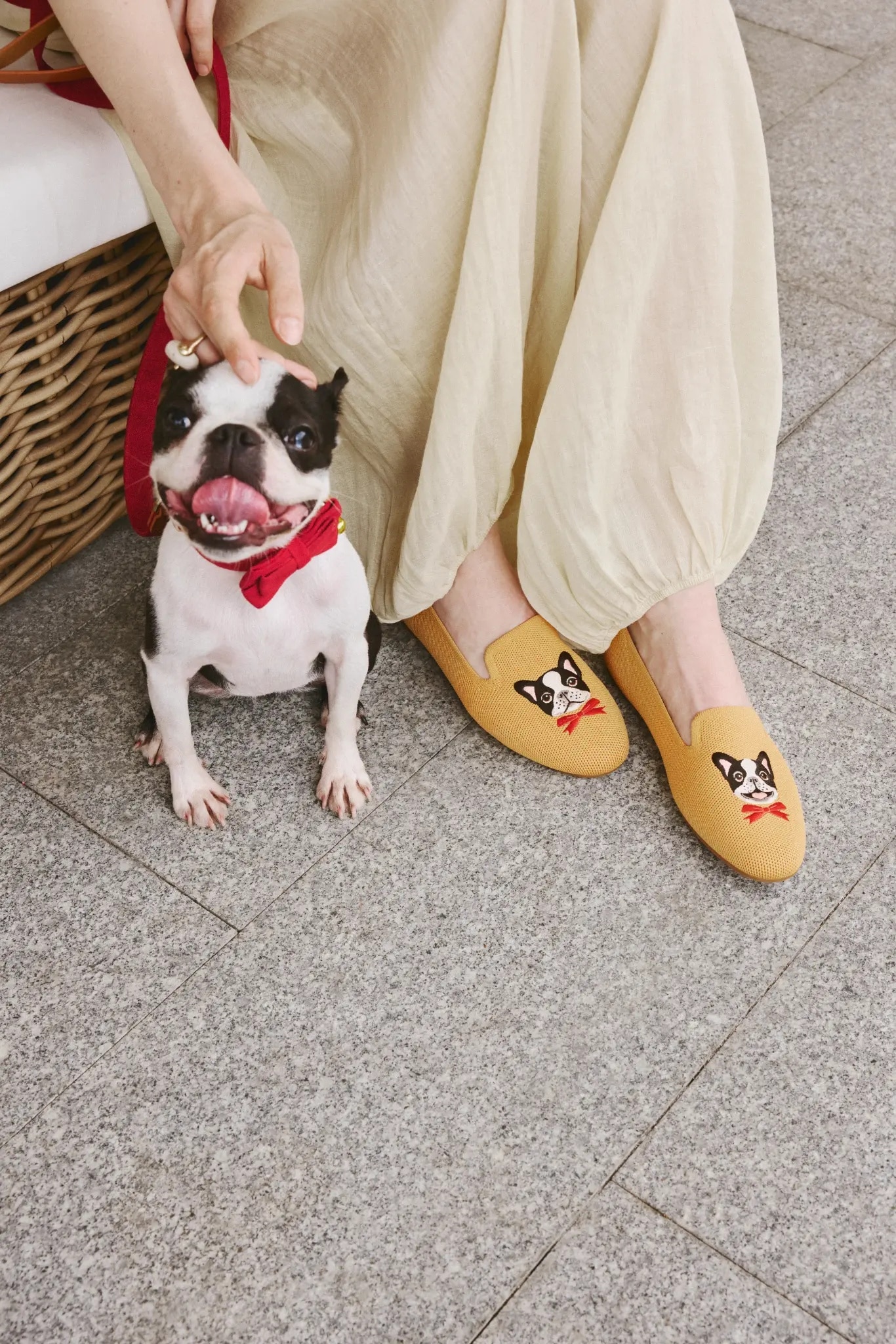 Mustard Yellow – Dapper Dog