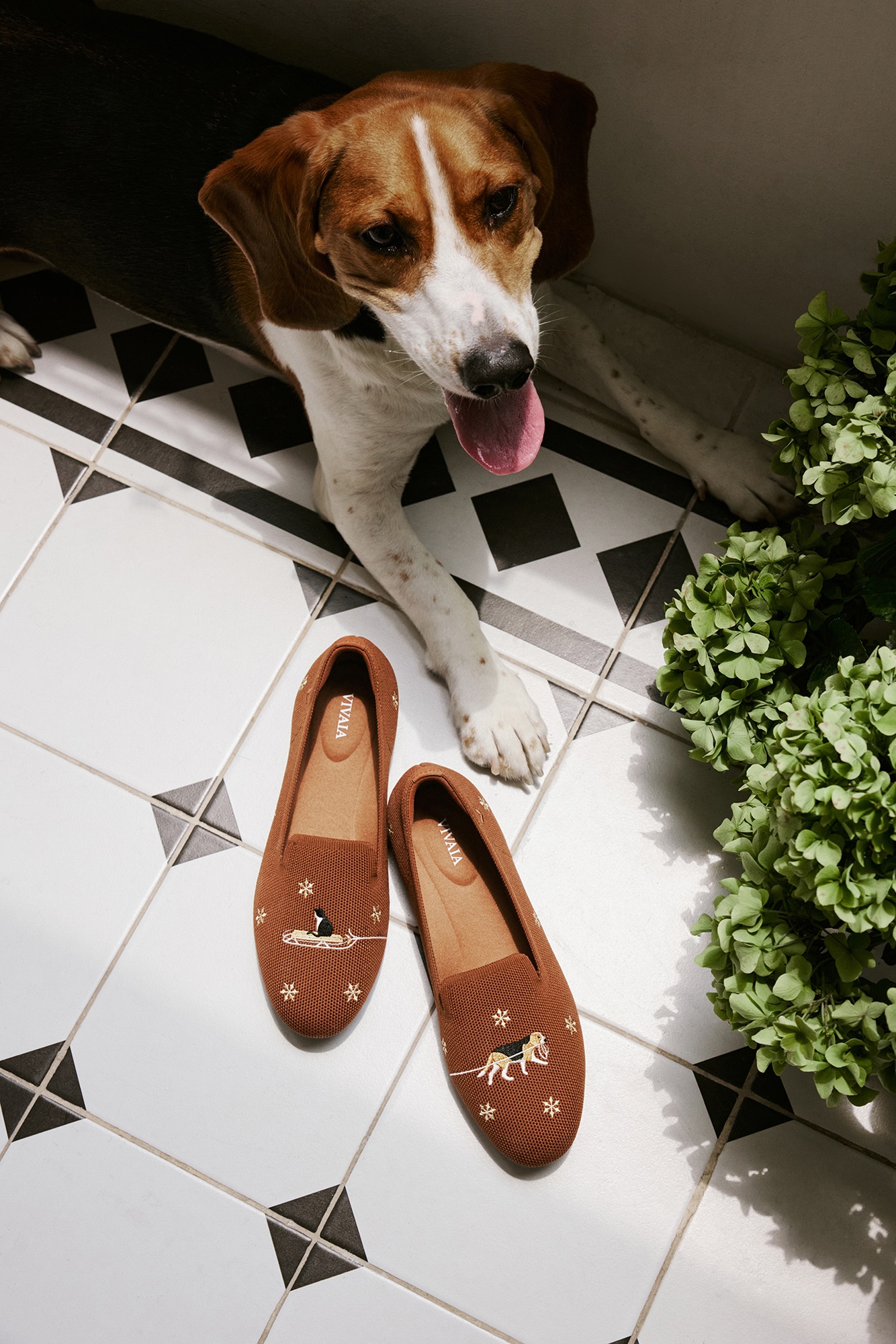 Toffee Brown – Tawny & Beagle Sled