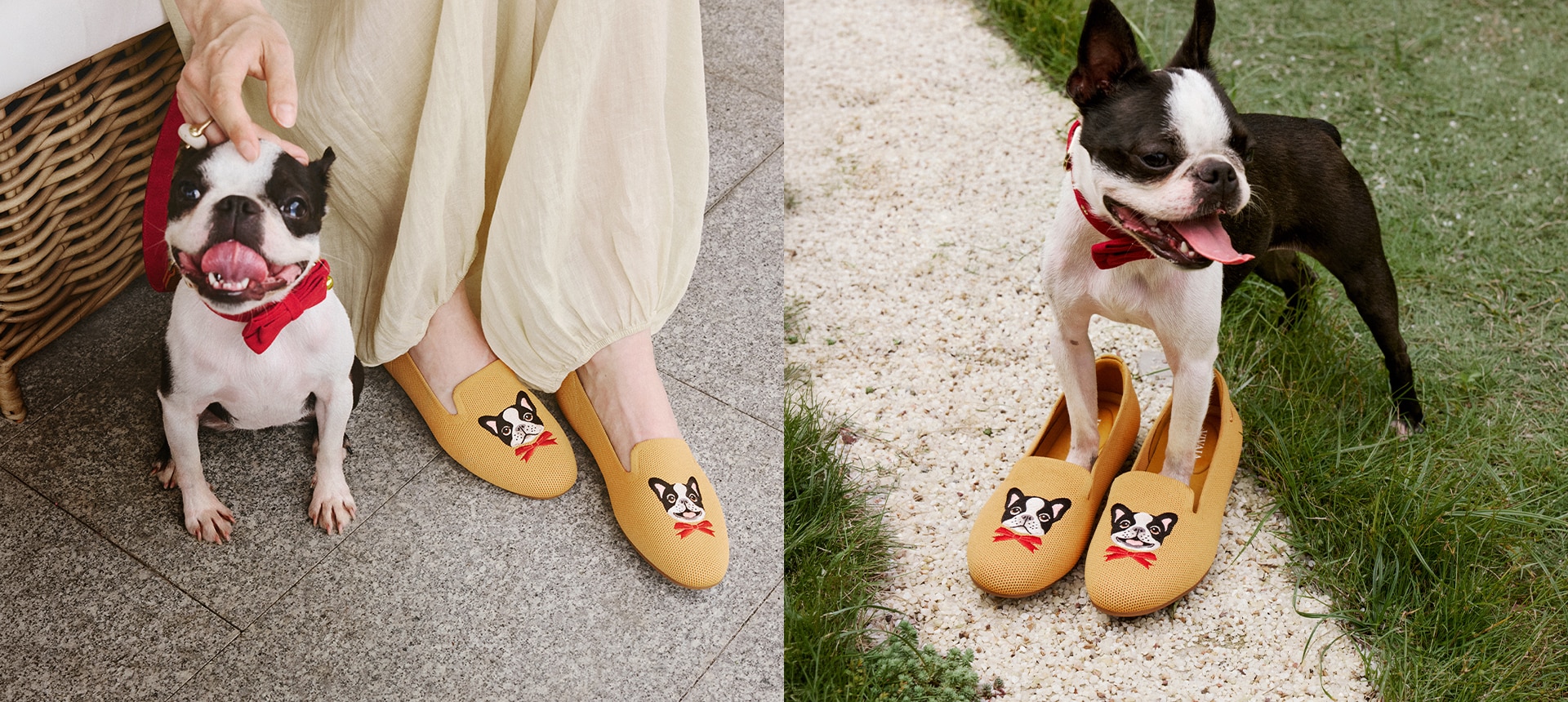 VIVAIA Audrey Animal Collection Hero