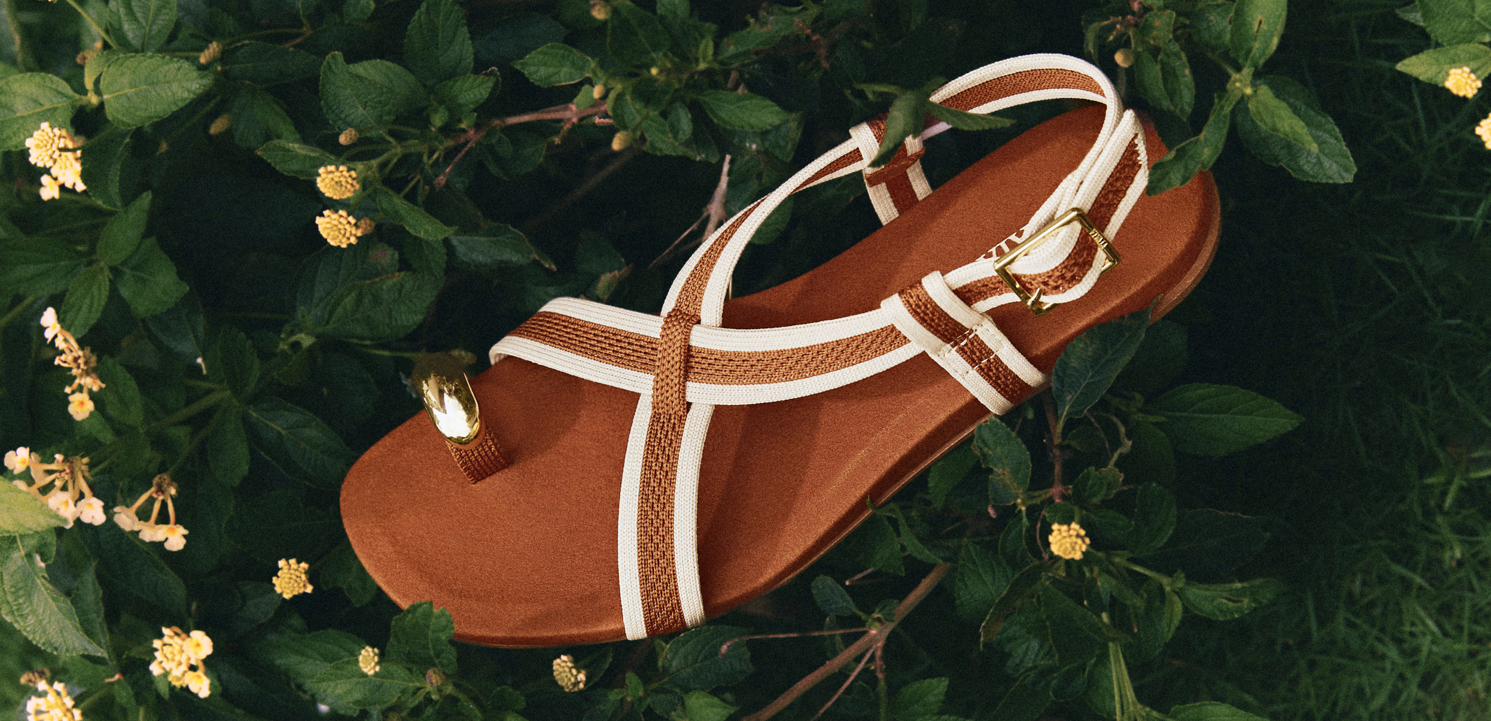 peep toe shoes sandals