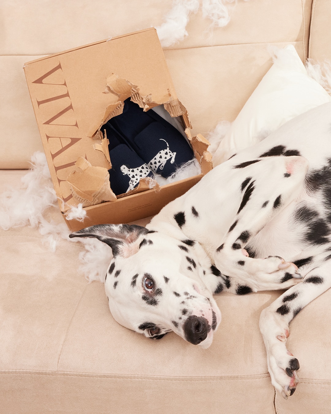 A Dalmatian lounges on a cream sofa next to a VIVAIA box holding navy Audrey loafers with embroidered Dalmatian