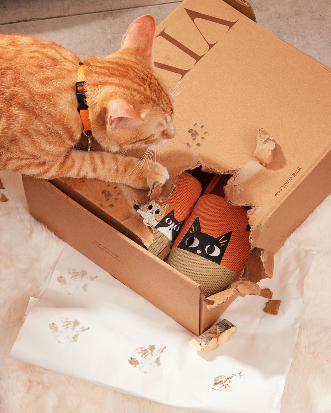 An orange tabby inspects a VIVAIA box with warm terracotta Audrey loafers featuring peeking cat embroidery