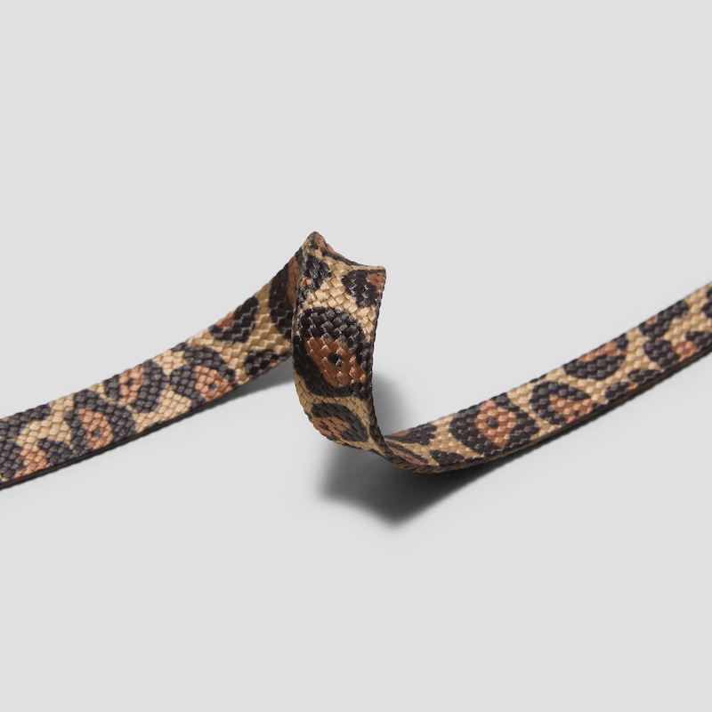 Yancy Shoelaces, LEOPARD, one-size | VIVAIA